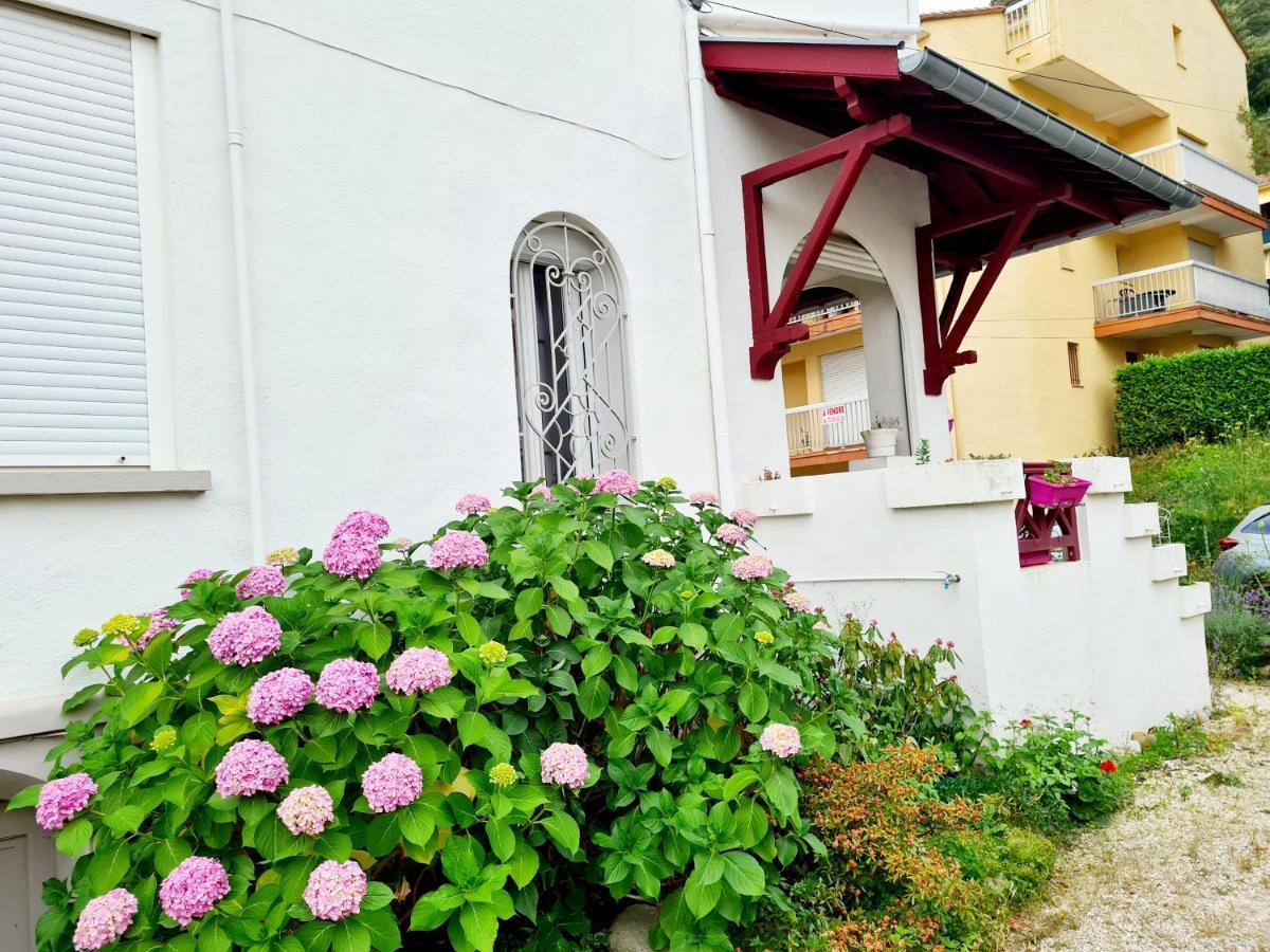 Villa La Closeraie Amélie-les-Bains-Palalda Esterno foto